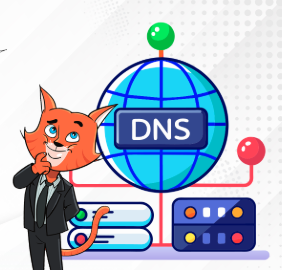 dnsmanagement Logo